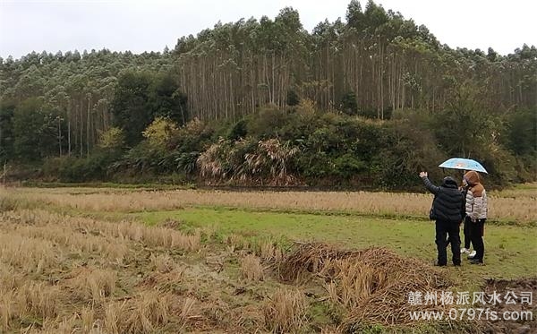 甘肃陈老师带着爱徒寻龙点穴